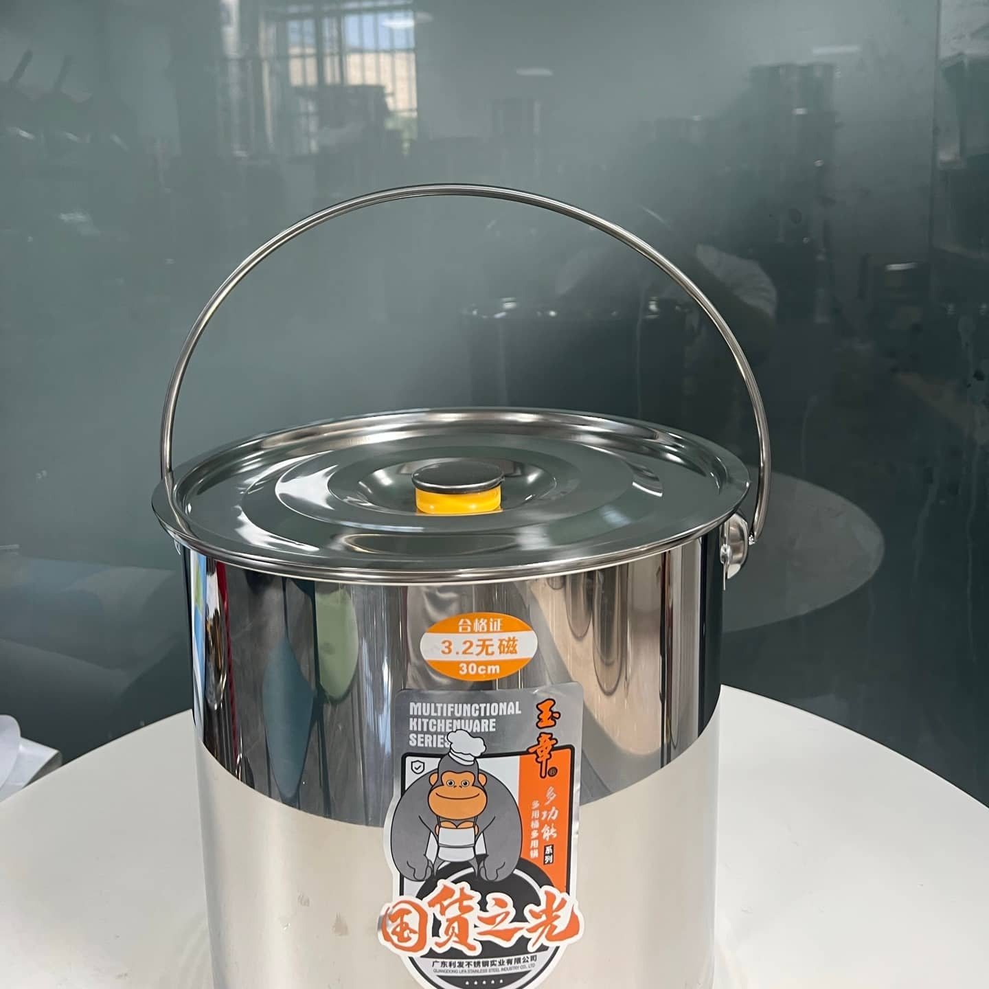 Stainless Steel Pail with Handle